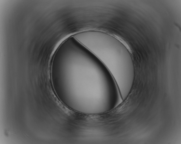 X0000092331148200709141112