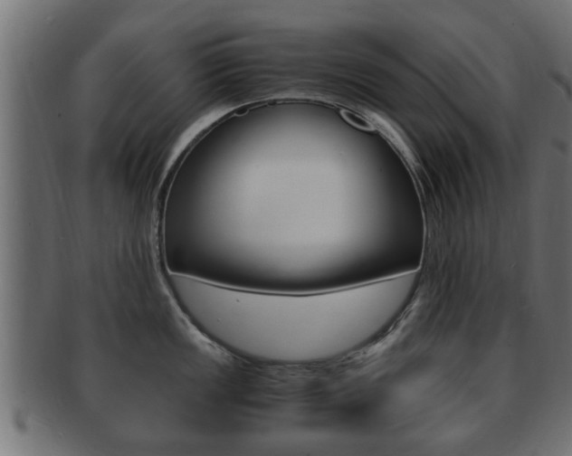 X0000092331149200709141112