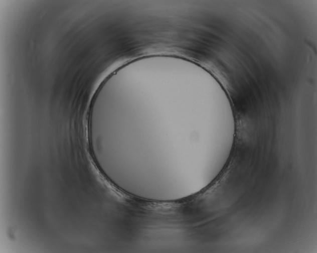 X0000092331150200709141112
