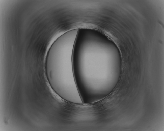 X0000092331152200709141112