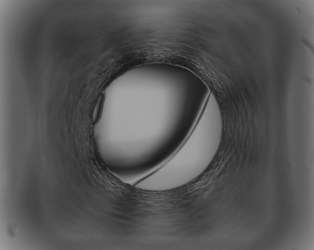 X0000092331153200709141112