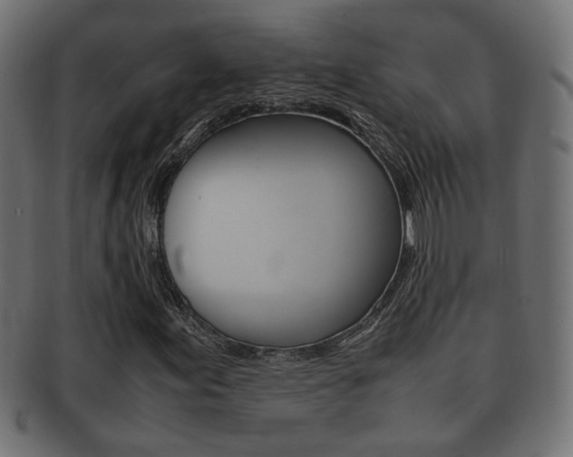 X0000092331155200709141112