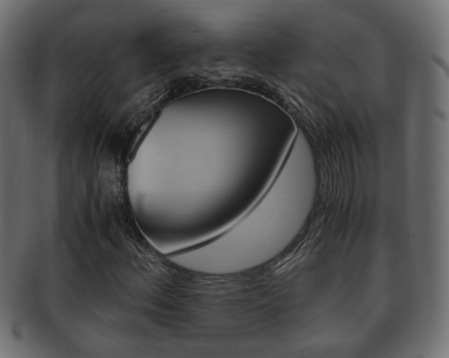 X0000092331156200709141112