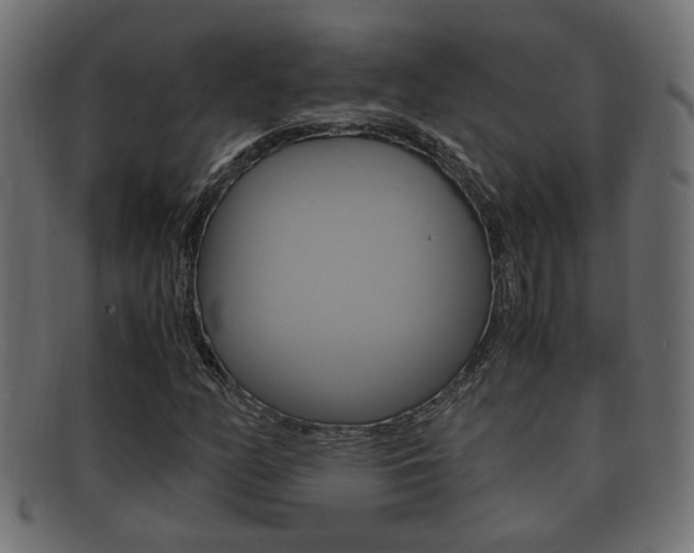 X0000092331158200709141112