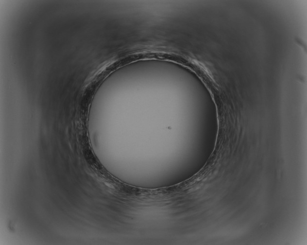 X0000092331159200709141112