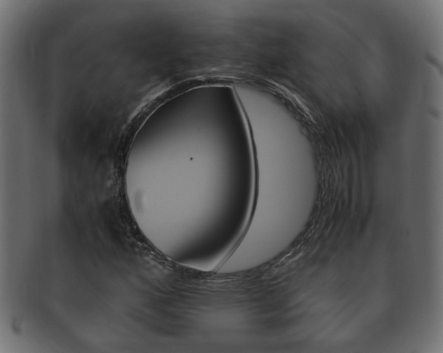 X0000092331160200709141112