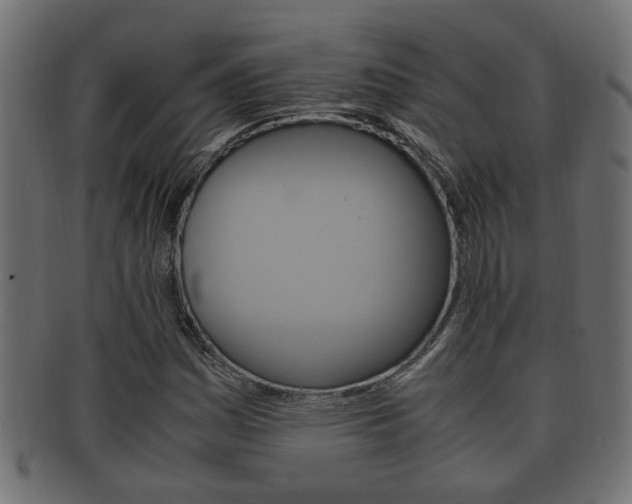 X0000092331161200709141111