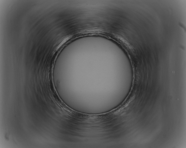 X0000092331162200709141111
