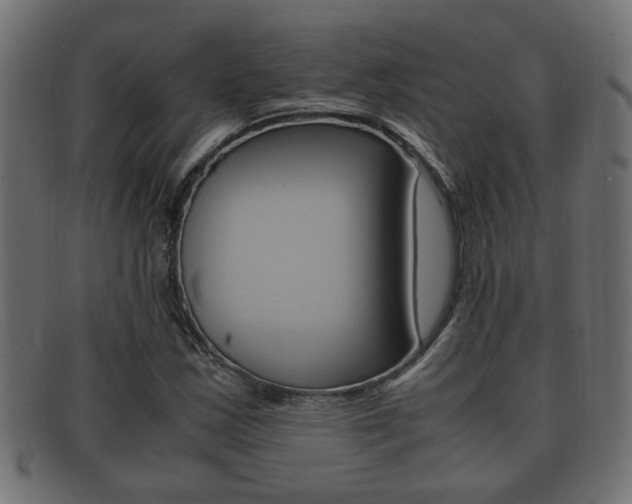 X0000092331163200709141111