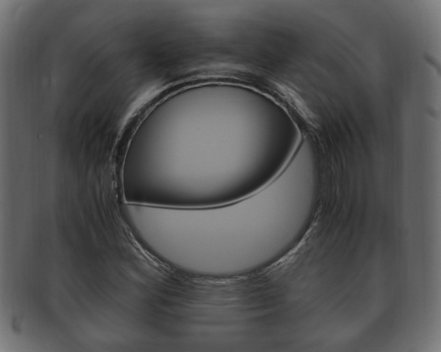 X0000092331164200709141111