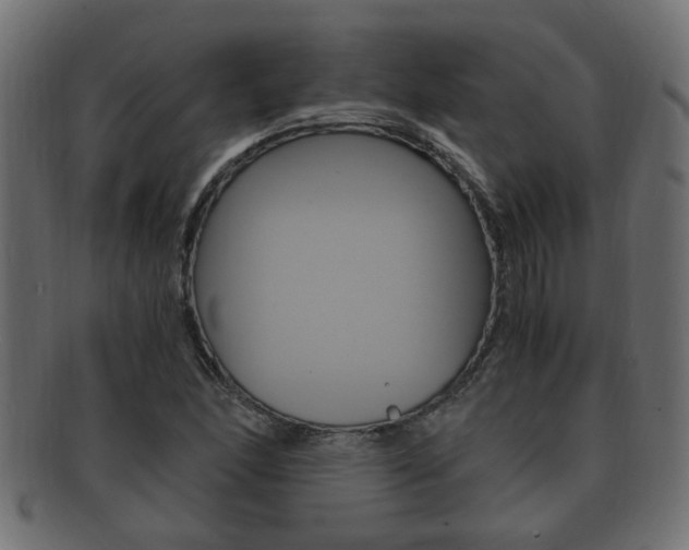 X0000092331166200709141111