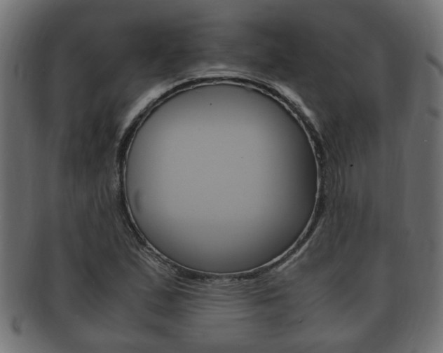 X0000092331167200709141111