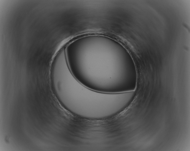 X0000092331168200709141111