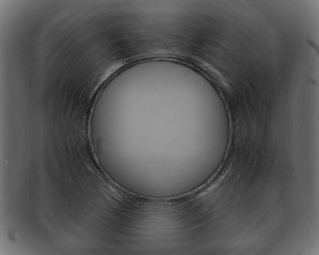X0000092331170200709141111