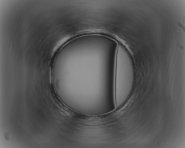 X0000092331171200709141111