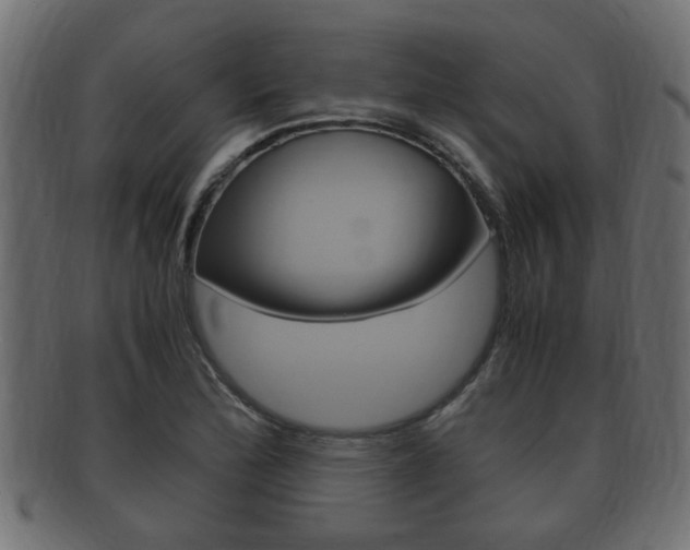 X0000092331172200709141111