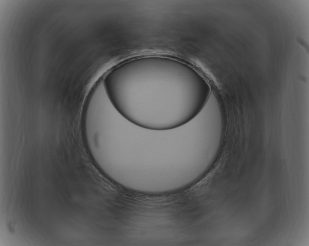 X0000092331173200709141111