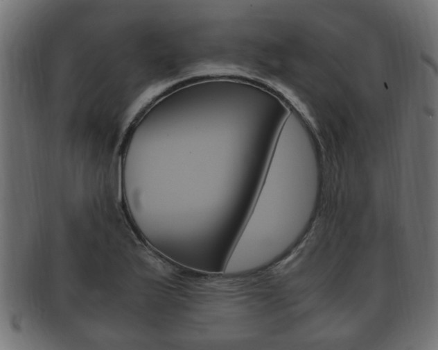 X0000092331175200709141111