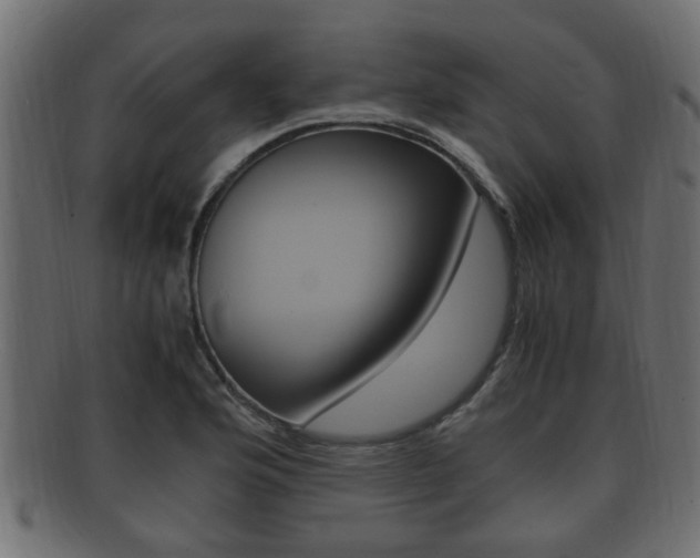 X0000092331176200709141111