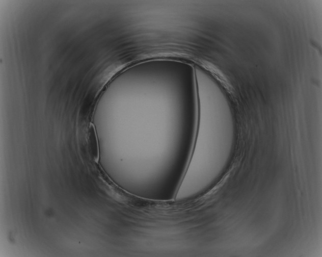 X0000092331177200709141111