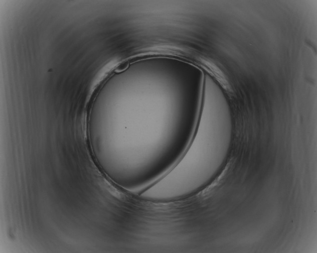 X0000092331180200709141111