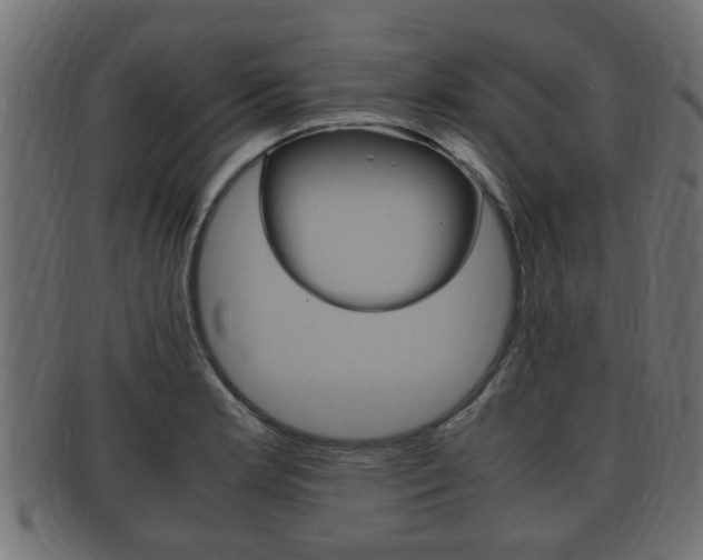 X0000092331181200709141111