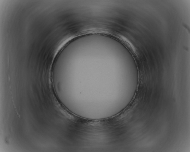 X0000092331182200709141111