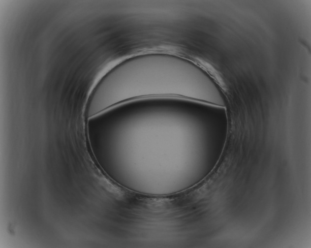 X0000092331184200709141111