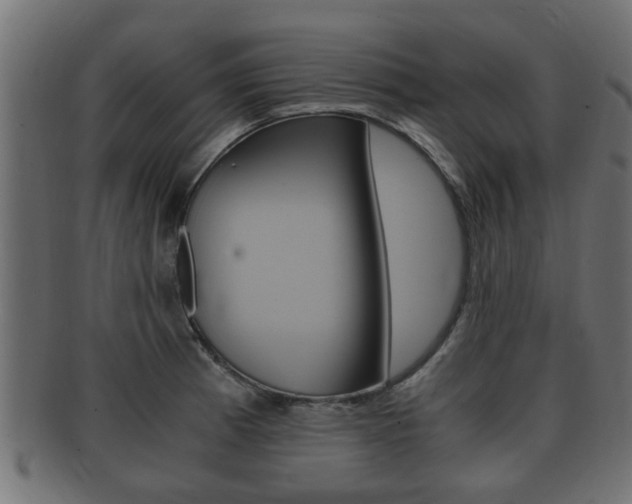 X0000092331185200709141111