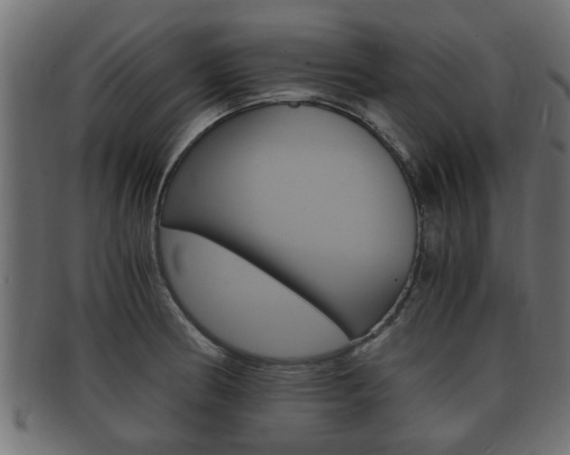 X0000092331186200709141111