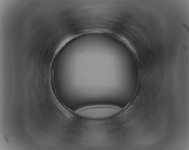 X0000092331187200709141111