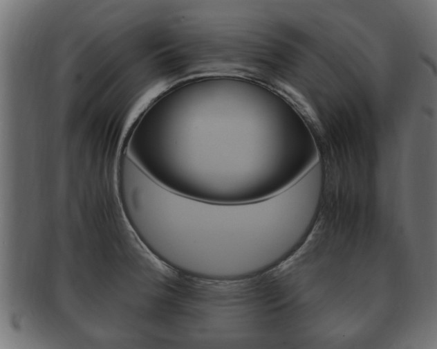 X0000092331188200709141111