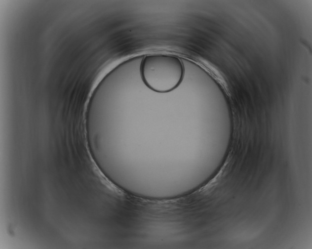 X0000092331192200709141111
