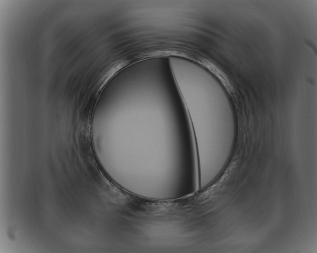 X0000092331193200709141111