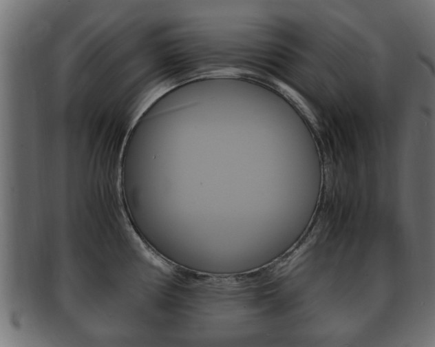 X0000092331194200709141111