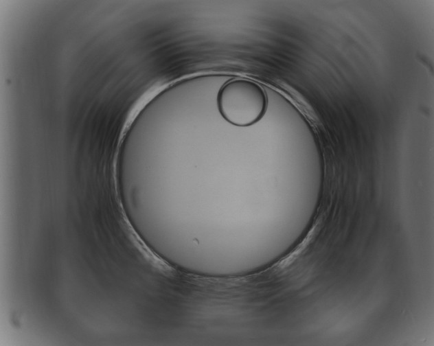 X0000092331196200709141111