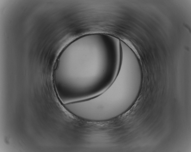 X0000092331197200709141111
