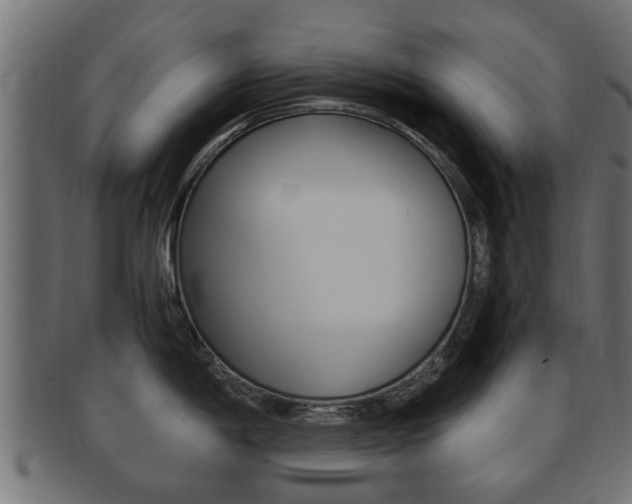 X0000092331198200709141111