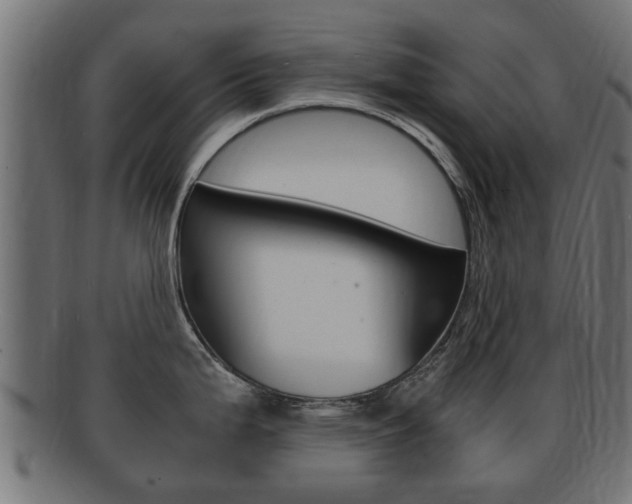 X0000092331199200709141111