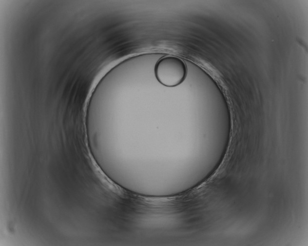X0000092331200200709141111