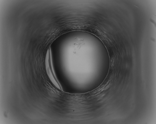 X0000092331202200709141110