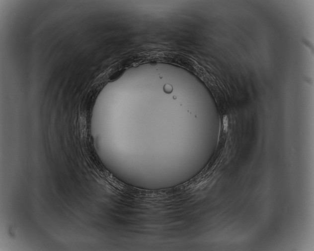 X0000092331203200709141110