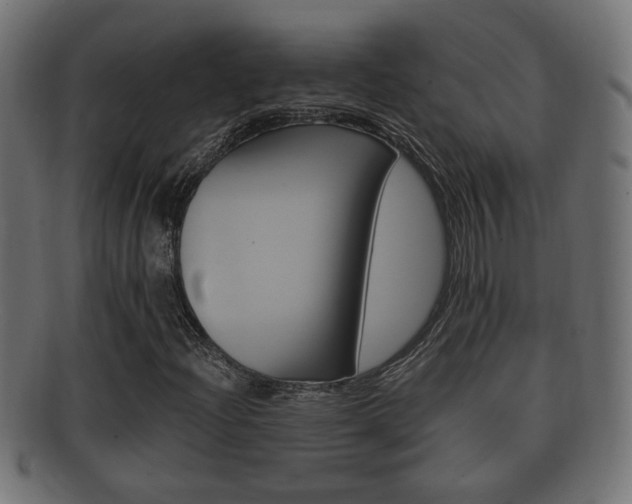 X0000092331204200709141111