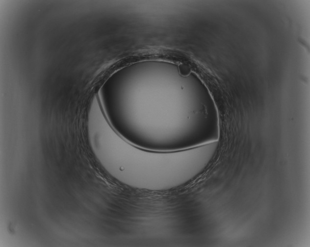X0000092331206200709141111