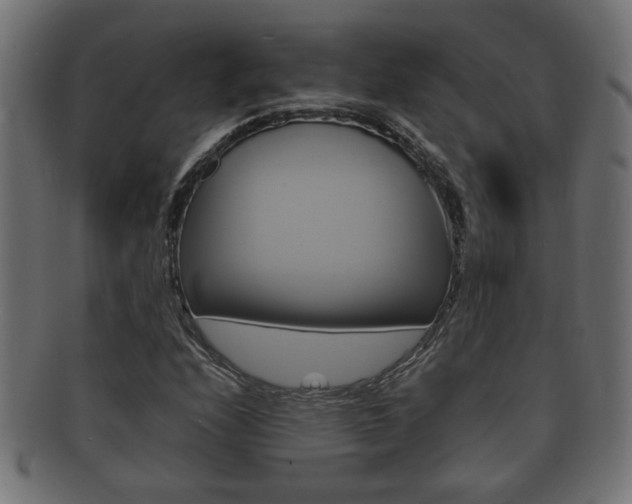 X0000092331208200709141111