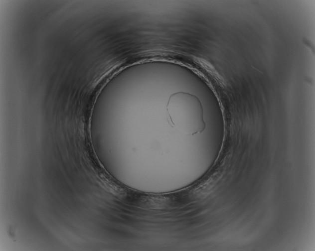 X0000092331209200709141111