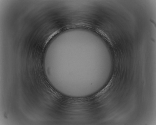 X0000092331210200709141111