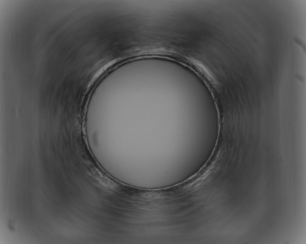 X0000092331212200709141111