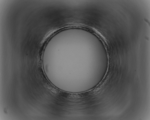X0000092331215200709141111