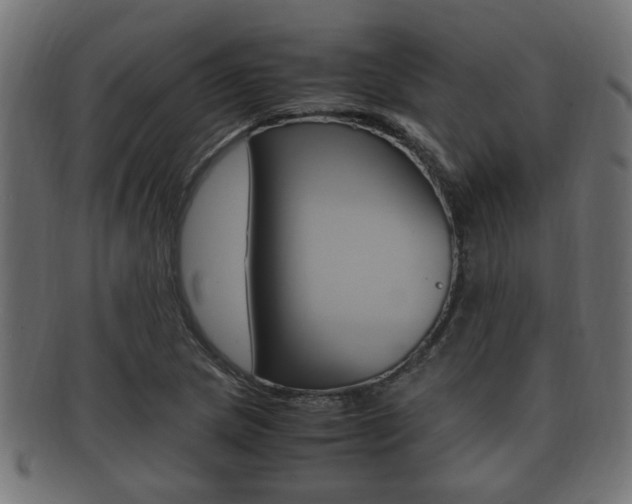 X0000092331217200709141111